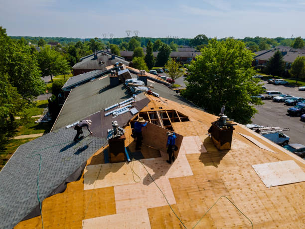 Trusted Emergency Roof Repair service in Bellevue, IL - Brentwood Metal Roofing